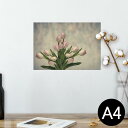 ポスター ウォールステッカー シール式ステッカー 飾り 210×297mm A4 写真 フォト 壁 インテリア おしゃれ 剥がせる wall sticker poster 023912 花 フラワー チューリップ
