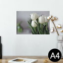 ポスター ウォールステッカー シール式ステッカー 飾り 210×297mm A4 写真 フォト 壁 インテリア おしゃれ 剥がせる wall sticker poster 023916 花 フラワー チューリップ