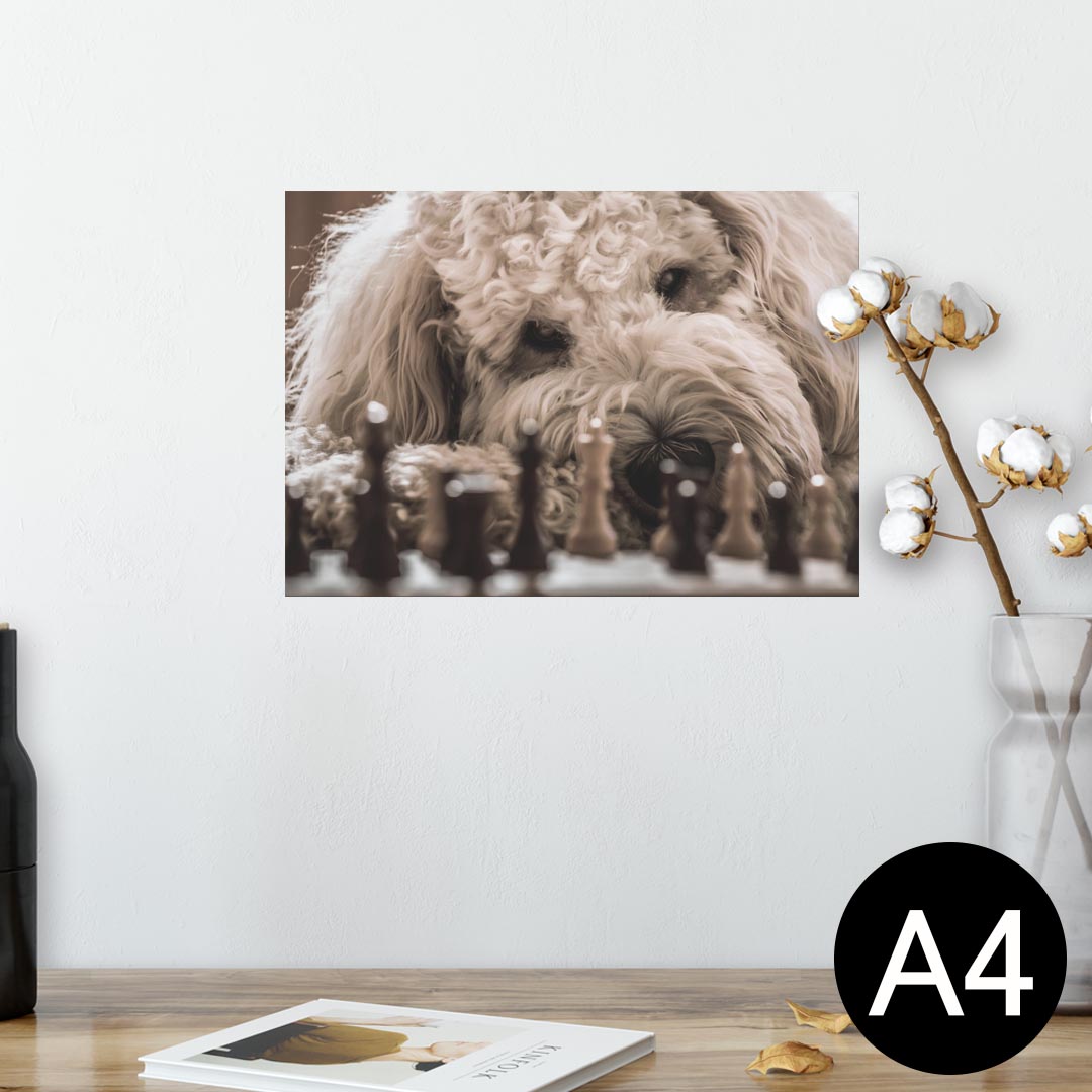 ポスター ウォールステッカー シール式ステッカー 飾り 210×297mm A4 写真 フォト 壁 インテリア おし..