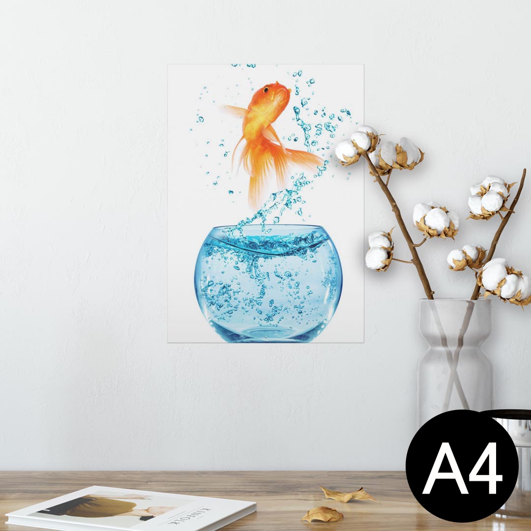 ポスター ウォールステッカー シール式ステッカー 飾り 210×297mm A4 写真 フォト 壁 インテリア おしゃれ 剥がせる wall sticker poster 006575 きんぎょ 写真 金魚
