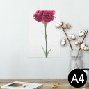 ポスター ウォールステッカー シール式ステッカー 飾り 210×297mm A4 写真 フォト 壁 インテリア おしゃれ 剥がせる wall sticker p...