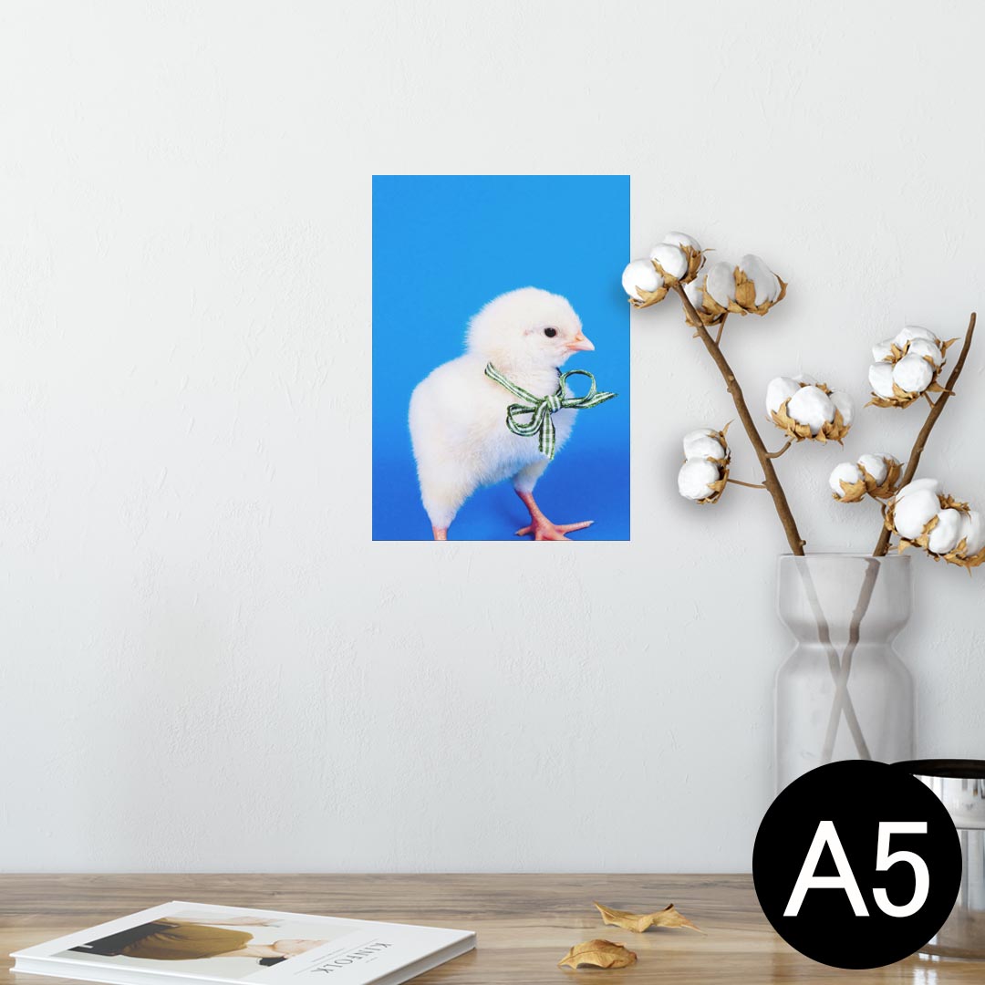 ポスター ウォールステッカー シール式ステッカー 飾り 148×210mm A5 写真 フォト 壁 インテリア おしゃれ 剥がせる wall sticker poster 002683 鳥　動物　写真