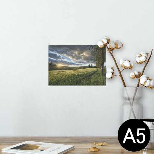 ポスター ウォールステッカー シール式ステッカー 飾り 148×210mm A5 写真 フォト 壁 インテリア おしゃれ 剥がせる wall sticker poster 023861 景色 自然 写真 ポスター ウォールステッカー シール式ステッカー 飾り 148×210mm A5 写真 フォト 壁 インテリア おしゃれ 剥がせる wall sticker poster 023861 景色 自然 写真