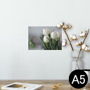 ポスター ウォールステッカー シール式ステッカー 飾り 148×210mm A5 写真 フォト 壁 インテリア おしゃれ 剥がせる wall sticker poster 023916 花 フラワー チューリップ