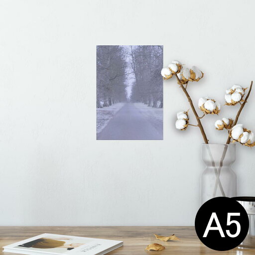 ポスター ウォールステッカー シール式ステッカー 飾り 148×210mm A5 写真 フォト 壁 インテリア おしゃれ 剥がせる wall sticker poster 005920 写真 冬 並木道 ポスター ウォールステッカー シール式ステッカー 飾り 148×210mm A5 写真 フォト 壁 インテリア おしゃれ 剥がせる wall sticker poster 005920 写真 冬 並木道
