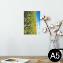 ポスター ウォールステッカー シール式ステッカー 飾り 148×210mm A5 写真 フォト 壁 インテリア おしゃれ 剥がせる wall sticker poster 007936 写真 花 向日葵 ひまわり