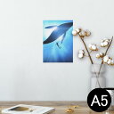 |X^[ EH[XebJ[ V[XebJ[  148~210mm A5 ʐ^ tHg  CeA   wall sticker poster 012663 NW@VGbg@_CrO