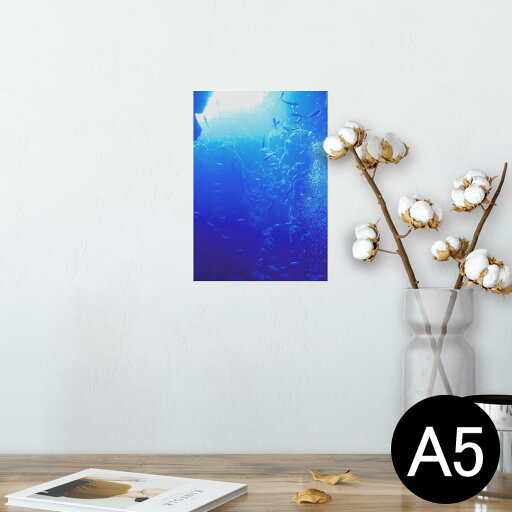 ポスター ウォールステッカー シール式ステッカー 飾り 148×210mm A5 写真 フォト 壁 インテリア おしゃれ 剥がせる wall sticker poster 014468 海 深海 写真 ポスター ウォールステッカー シール式ステッカー 飾り 148×210mm A5 写真 フォト 壁 インテリア おしゃれ 剥がせる wall sticker poster 014468 海 深海 写真