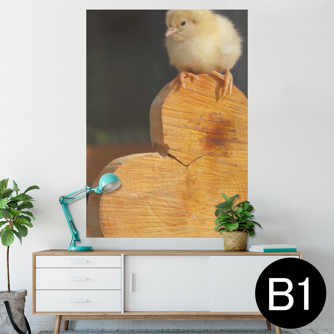 ポスター ウォールステッカー シール式ステッカー 飾り 728×1030mm B1 写真 フォト 壁 インテリア おしゃれ 　剥がせる wall sticker poster 001101 ヒヨコ　ハート