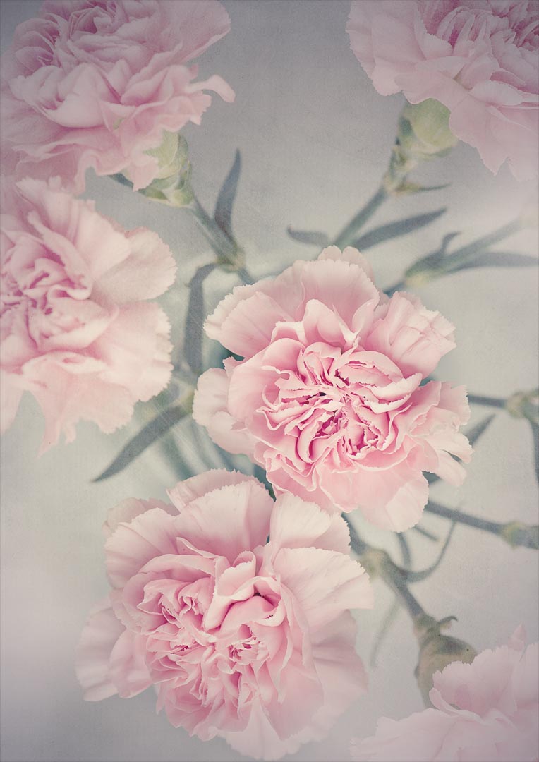 ポスター ウォールステッカー シール式ステッカー 飾り 728×1030mm B1 写真 フォト 壁 インテリア おし..