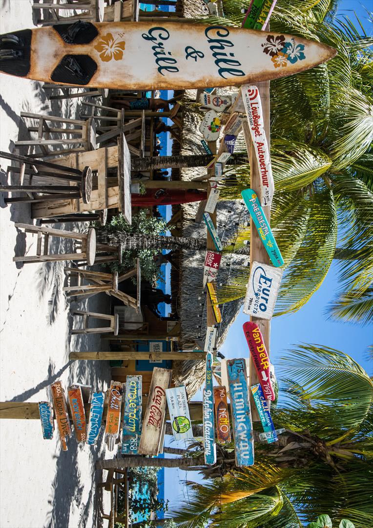 ポスター ウォールステッカー シール式ステッカー 飾り 728×1030mm B1 写真 フォト 壁 インテリア おしゃれ 　剥がせる wall sticker poster 023969 ヤシの木　ハワイ　サーフ