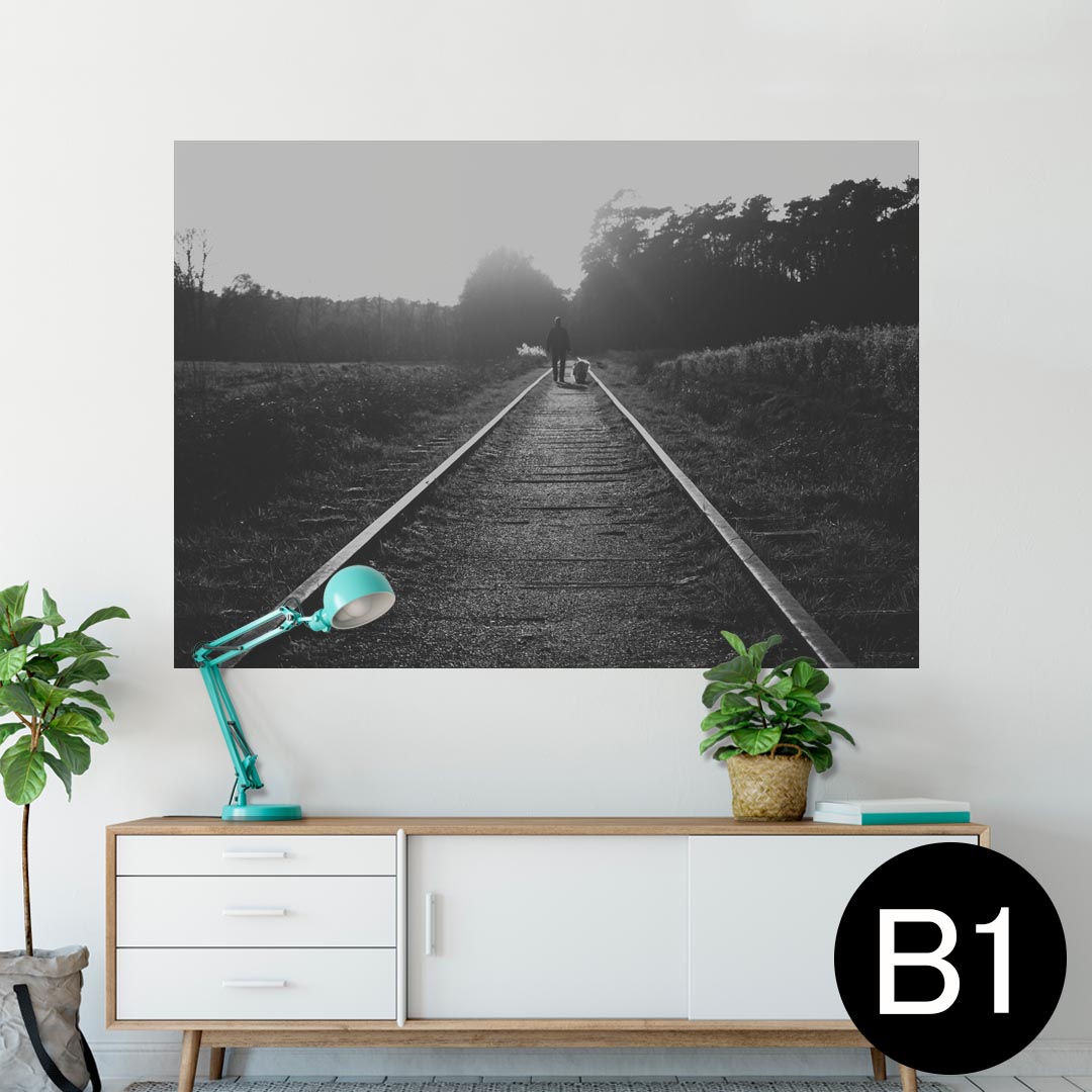 ポスター ウォールステッカー シール式ステッカー 飾り 728×1030mm B1 写真 フォト 壁 インテリア おし..