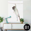 ポスター ウォールステッカー シール式ステッカー 飾り 728×1030mm B1 写真 フォト 壁 インテリア おしゃれ 剥がせる wall sticker poster 005911 アニマル 写真 動物 ねずみ