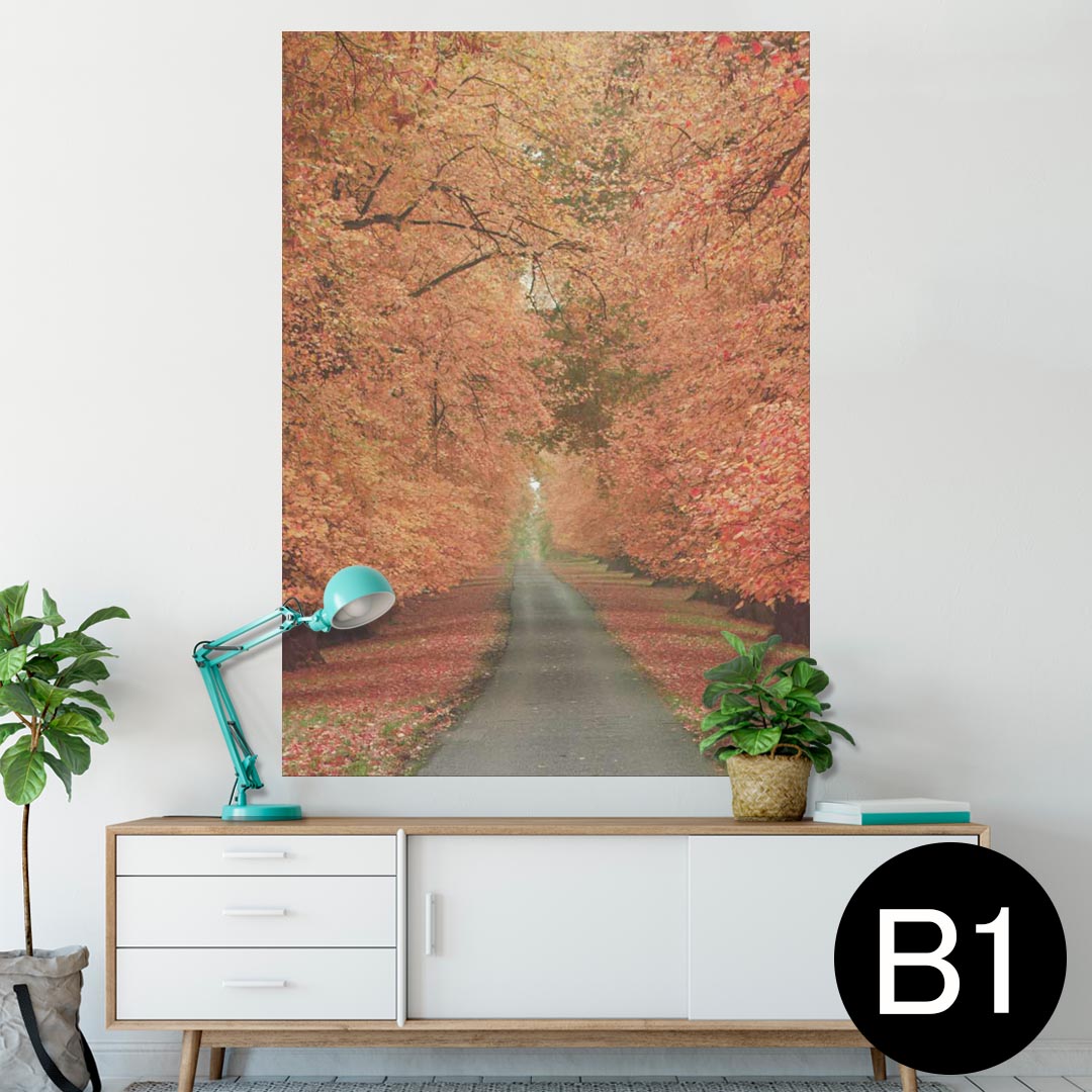 ポスター ウォールステッカー シール式ステッカー 飾り 728×1030mm B1 写真 フォト 壁 インテリア おしゃれ 剥がせる wall sticker poster 005919 写真 秋 並木道