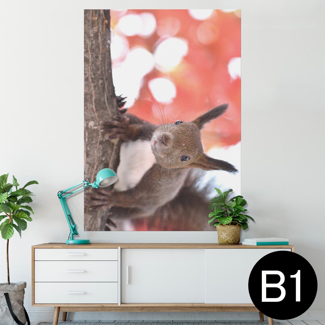 ポスター ウォールステッカー シール式ステッカー 飾り 728×1030mm B1 写真 フォト 壁 インテリア おしゃれ 　剥がせる wall sticker poster 014830 冬　動物　リス　紅葉