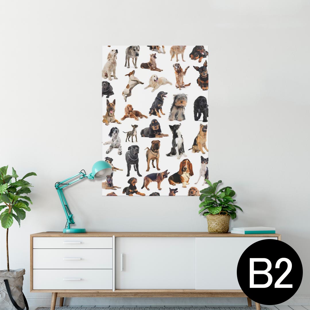 ポスター ウォールステッカー シール式ステッカー 飾り 515×728mm B2 写真 フォト 壁 インテリア おしゃれ 剥がせる wall sticker poster 000911 犬　動物