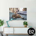 ポスター ウォールステッカー シール式ステッカー 飾り 515×728mm B2 写真 フォト 壁 インテリア おしゃれ 剥がせる wall sticker poster 023084 猫 ねこ 動物 風景 写真