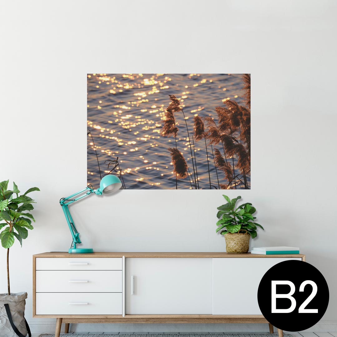 ポスター ウォールステッカー シール式ステッカー 飾り 515×728mm B2 写真 フォト 壁 インテリア おしゃれ 剥がせる wall sticker poster 023719 パンパスグラス　植物　水面