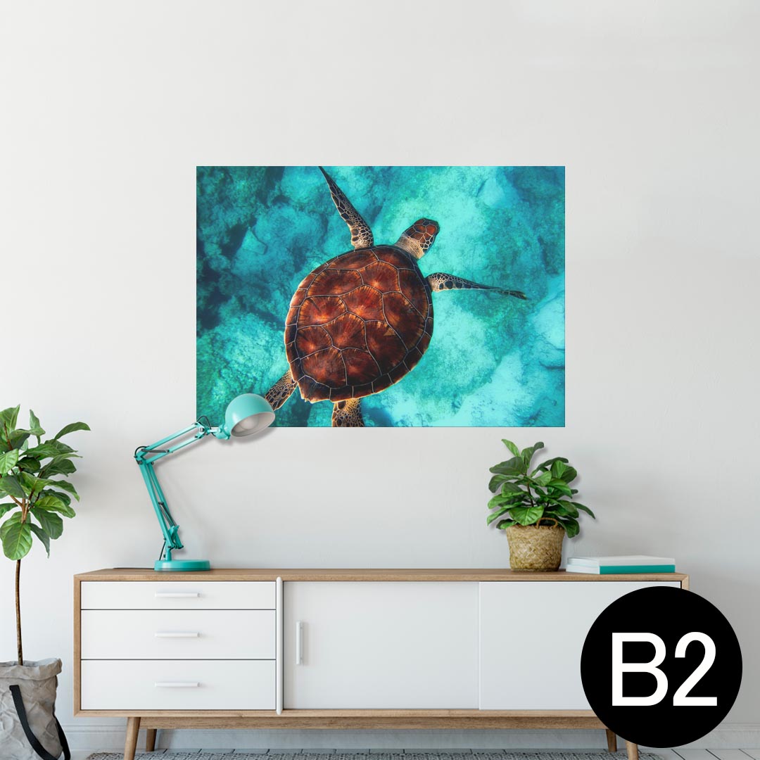 ポスター ウォールステッカー シール式ステッカー 飾り 515×728mm B2 写真 フォト 壁 インテリア おしゃれ 剥がせる wall sticker poster 023766 カメ　海　写真のサムネイル