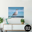 ポスター ウォールステッカー シール式ステッカー 飾り 515×728mm B2 写真 フォト 壁 インテリア おしゃれ 剥がせる wall sticker poster 023778 鳥 カモメ 動物