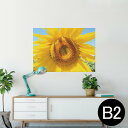 ポスター ウォールステッカー シール式ステッカー 飾り 515×728mm B2 写真 フォト 壁 インテリア おしゃれ 剥がせる wall sticker poster 023849 花 フラワー ひまわり