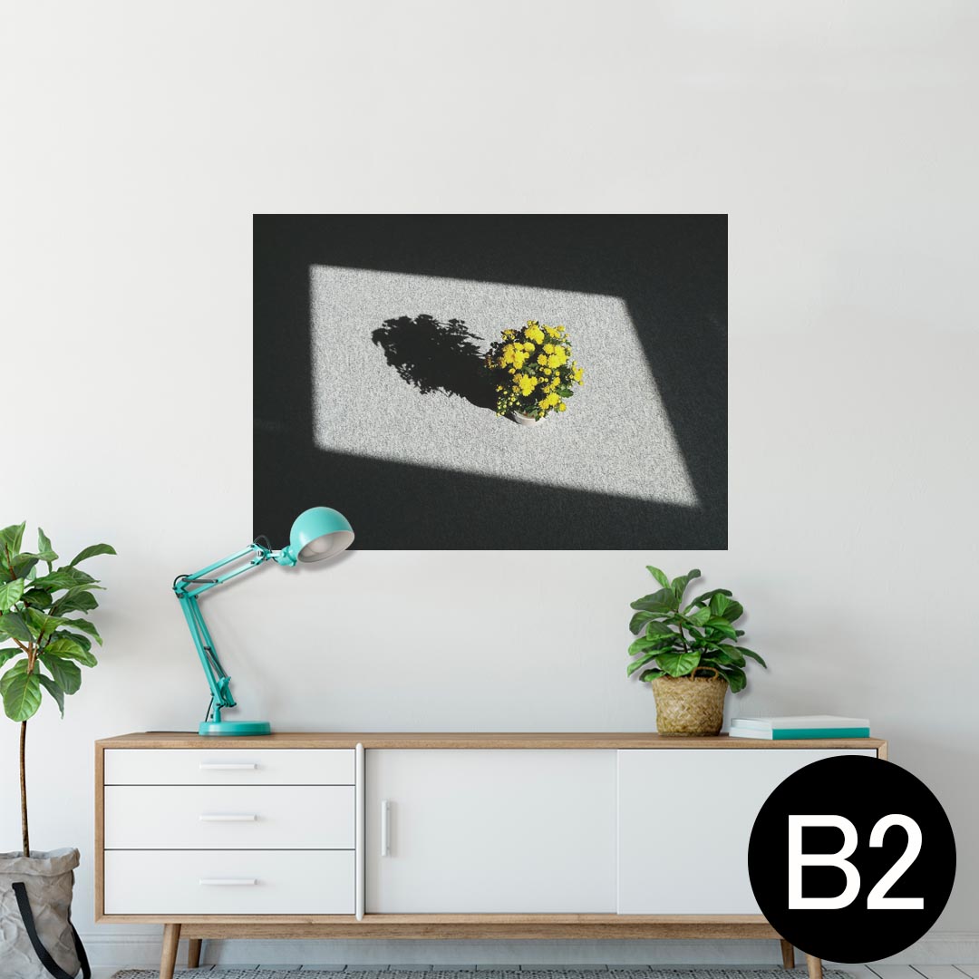 ポスター ウォールステッカー シール式ステッカー 飾り 515×728mm B2 写真 フォト 壁 インテリア おしゃれ 剥がせる wall sticker poster 025757 植物　花　影