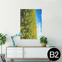 ポスター ウォールステッカー シール式ステッカー 飾り 515×728mm B2 写真 フォト 壁 インテリア おしゃれ 剥がせる wall sticker poster 007936 写真 花 向日葵 ひまわり
