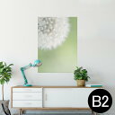 |X^[ EH[XebJ[ V[XebJ[  515~728mm B2 ʐ^ tHg  CeA   wall sticker poster 008884 ʐ^@ۂہ@