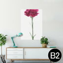 ポスター ウォールステッカー シール式ステッカー 飾り 515×728mm B2 写真 フォト 壁 インテリア おしゃれ 剥がせる wall sticker p...