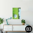 ポスター ウォールステッカー シール式ステッカー 飾り 364×515mm B3 写真 フォト 壁 インテリア おしゃれ 剥がせる wall sticker poster 000255 ゴルフ 芝生 スポーツ