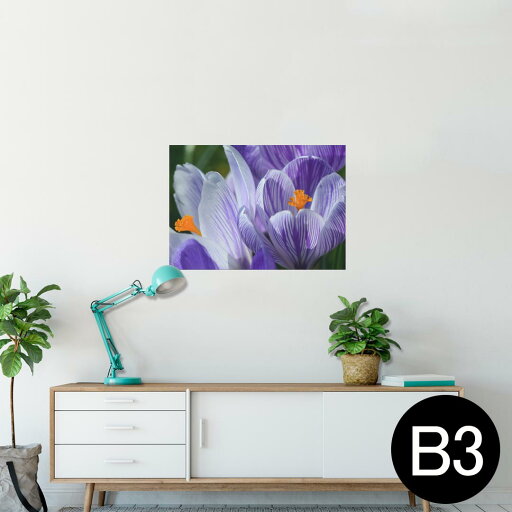 ポスター ウォールステッカー シール式ステッカー 飾り 364×515mm B3 写真 フォト 壁 インテリア おしゃれ 剥がせる wall sticker poster 023175 花 フラワー 写真 ポスター ウォールステッカー シール式ステッカー 飾り 364×515mm B3 写真 フォト 壁 インテリア おしゃれ 剥がせる wall sticker poster 023175 花 フラワー 写真