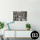 ポスター ウォールステッカー シール式ステッカー 飾り 364×515mm B3 写真 フォト 壁 インテリア おしゃれ 剥がせる wall sticker poster 023560 ミーアキャット 動物 写真