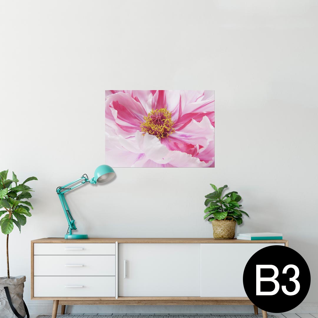 ポスター ウォールステッカー シール式ステッカー 飾り 364×515mm B3 写真 フォト 壁 インテリア おしゃれ 剥がせる wall sticker poster 023662 花 フラワー