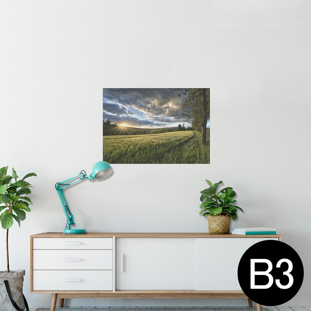 ポスター ウォールステッカー シール式ステッカー 飾り 364×515mm B3 写真 フォト 壁 インテリア おし..