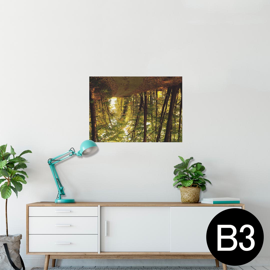 ポスター ウォールステッカー シール式ステッカー 飾り 364×515mm B3 写真 フォト 壁 インテリア おしゃれ 剥がせる wall sticker poster 025682 自然　森　夕日　日光