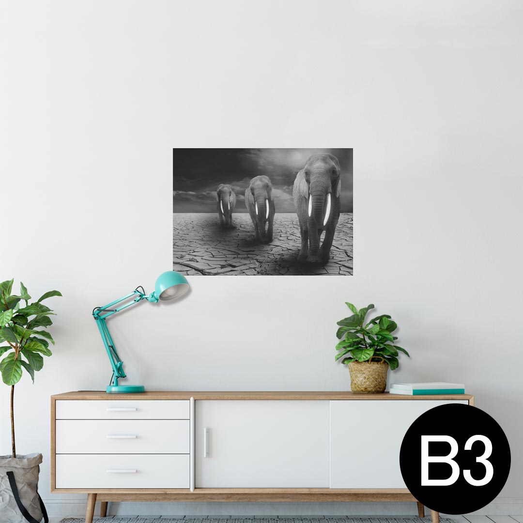 ポスター ウォールステッカー シール式ステッカー 飾り 364×515mm B3 写真 フォト 壁 インテリア おしゃれ 剥がせる wall sticker poster 025853 動物　ゾウ