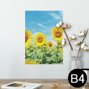 ポスター ウォールステッカー シール式ステッカー 飾り 257×364mm B4 写真 フォト 壁 インテリア おしゃれ 剥がせる wall sticker poster 002501 花 ひまわり 写真