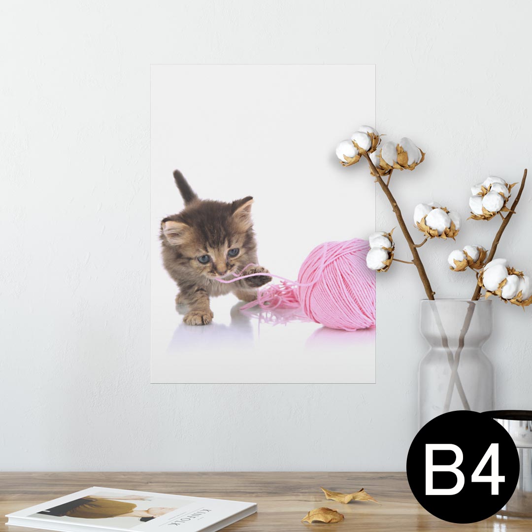 ポスター ウォールステッカー シール式ステッカー 飾り 257×364mm B4 写真 フォト 壁 インテリア おしゃれ 剥がせる wall sticker poster 002881 猫　動物　写真