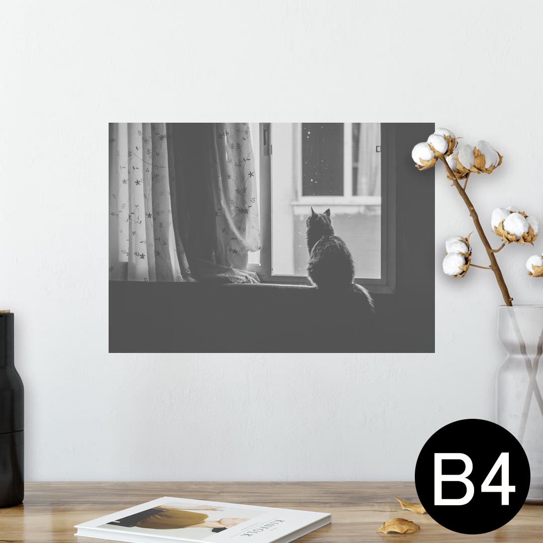 ポスター ウォールステッカー シール式ステッカー 飾り 257×364mm B4 写真 フォト 壁 インテリア おしゃれ 剥がせる wall sticker poster 023086 猫　ねこ　写真　モノクロ