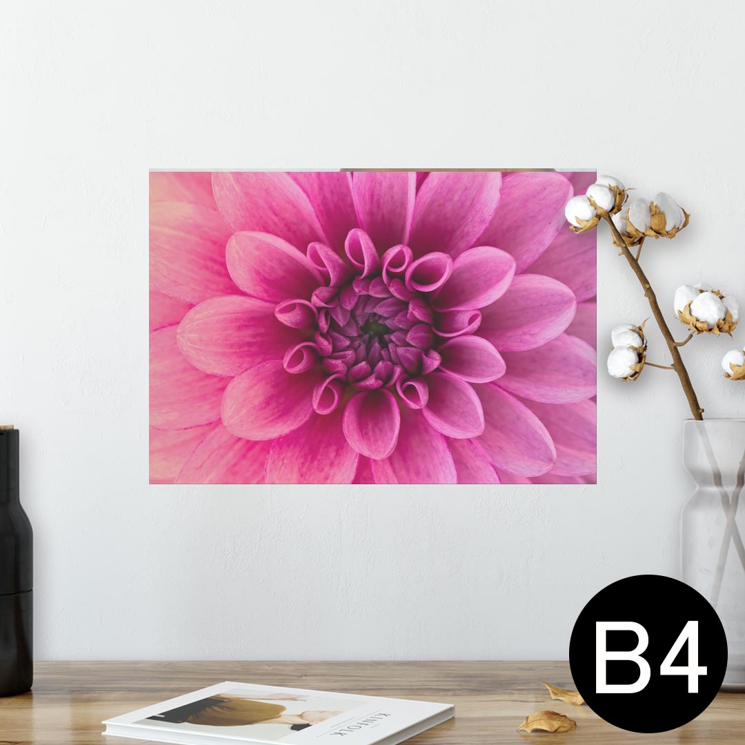 ポスター ウォールステッカー シール式ステッカー 飾り 257×364mm B4 写真 フォト 壁 インテリア おしゃれ 剥がせる wall sticker poster 023184 花　フラワー