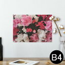 ポスター ウォールステッカー シール式ステッカー 飾り 257×364mm B4 写真 フォト 壁 インテリア おしゃれ 剥がせる wall sticker p...