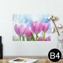 ポスター ウォールステッカー シール式ステッカー 飾り 257×364mm B4 写真 フォト 壁 インテリア おしゃれ 剥がせる wall sticker poster 023603 花 フラワー チューリップ