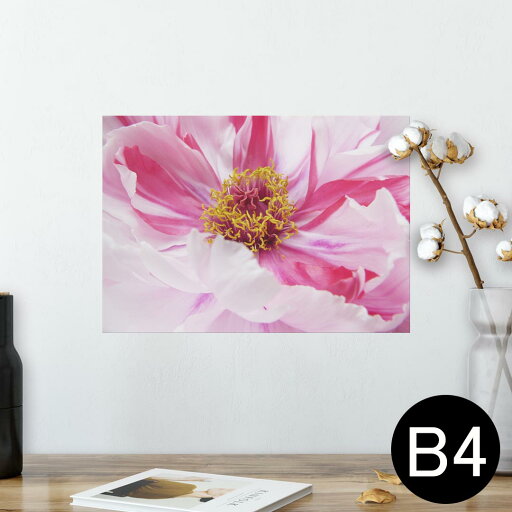 ポスター ウォールステッカー シール式ステッカー 飾り 257×364mm B4 写真 フォト 壁 インテリア おしゃれ 剥がせる wall sticker poster 023662 花 フラワー ポスター ウォールステッカー シール式ステッカー 飾り 257×364mm B4 写真 フォト 壁 インテリア おしゃれ 剥がせる wall sticker poster 023662 花 フラワー