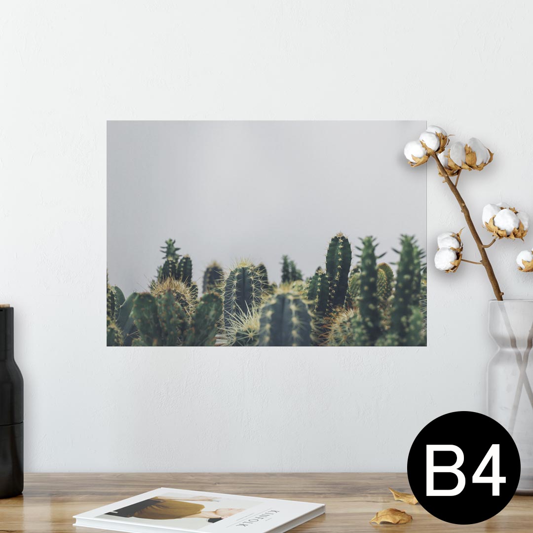 ポスター ウォールステッカー シール式ステッカー 飾り 257×364mm B4 写真 フォト 壁 インテリア おしゃれ 剥がせる wall sticker poster 023686 サボテン　植物