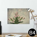 ポスター ウォールステッカー シール式ステッカー 飾り 257×364mm B4 写真 フォト 壁 インテリア おしゃれ 剥がせる wall sticker poster 023912 花 フラワー チューリップ