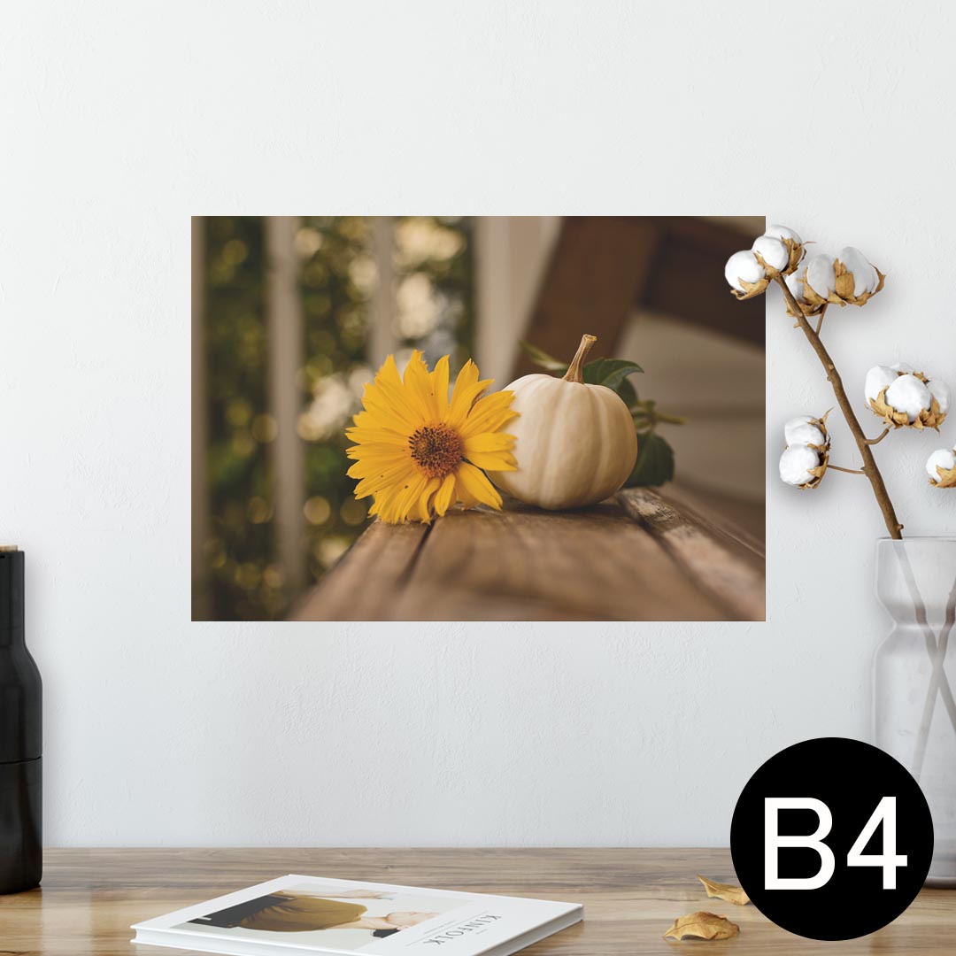 ポスター ウォールステッカー シール式ステッカー 飾り 257×364mm B4 写真 フォト 壁 インテリア おしゃれ 剥がせる wall sticker poster 025807 かぼちゃ　秋　花