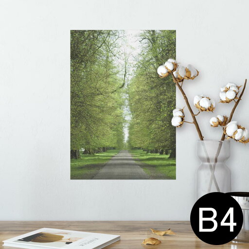 ポスター ウォールステッカー シール式ステッカー 飾り 257×364mm B4 写真 フォト 壁 インテリア おしゃれ 剥がせる wall sticker poster 005918 写真 夏 並木道 ポスター ウォールステッカー シール式ステッカー 飾り 257×364mm B4 写真 フォト 壁 インテリア おしゃれ 剥がせる wall sticker poster 005918 写真 夏 並木道