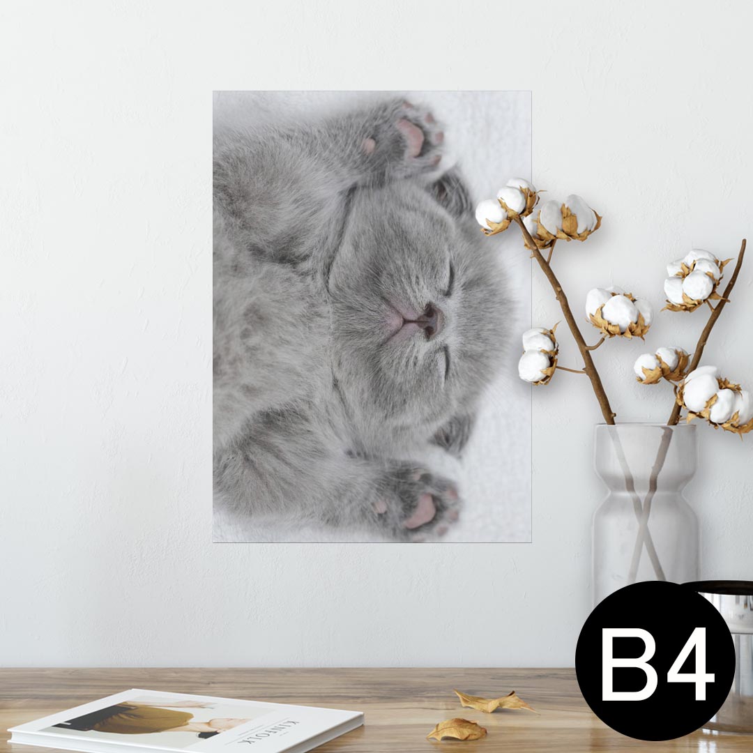 ポスター ウォールステッカー シール式ステッカー 飾り 257×364mm B4 写真 フォト 壁 インテリア おし..