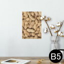 ポスター ウォールステッカー シール式ステッカー 飾り 182×257mm B5 写真 フォト 壁 インテリア おしゃれ 剥がせる wall sticker poster 000276 ピーナツ 落花生 食べ物(3)