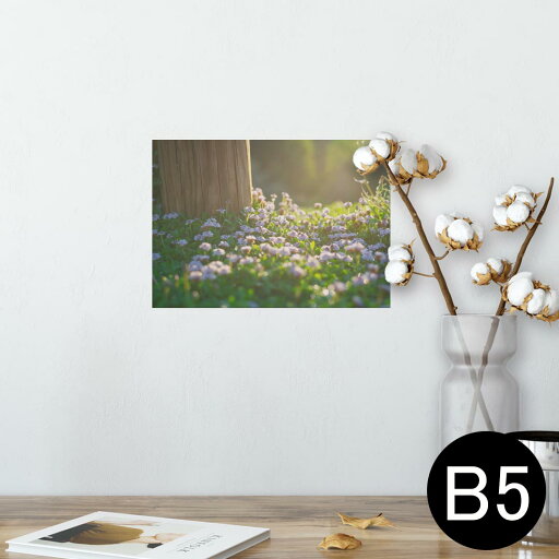 ポスター ウォールステッカー シール式ステッカー 飾り 182×257mm B5 写真 フォト 壁 インテリア おしゃれ 剥がせる wall sticker poster 023352 花 フラワー 写真 ポスター ウォールステッカー シール式ステッカー 飾り 182×257mm B5 写真 フォト 壁 インテリア おしゃれ 剥がせる wall sticker poster 023352 花 フラワー 写真